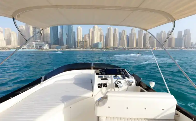 Photo Numarine 55 (2009)