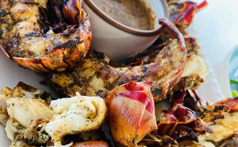 Photo Leopard 53 PC (2023)