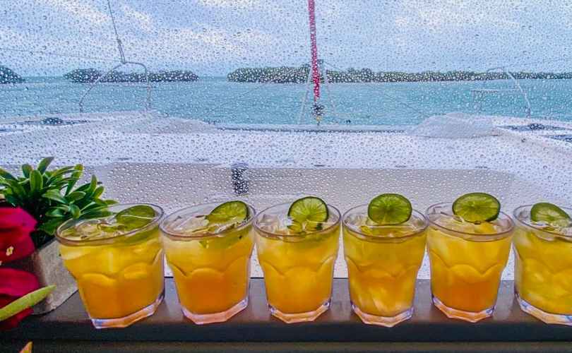 Photo Saona 47 (2017)