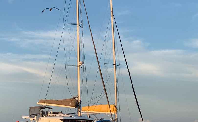 Saba 50