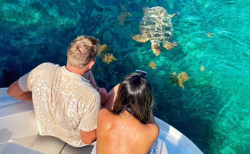 Photo Aura 51 (2025)