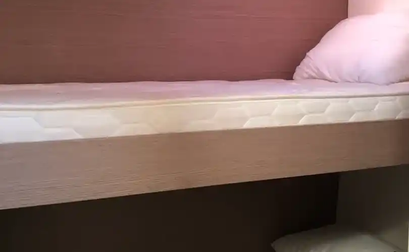 Photo Saona 47 (2020)