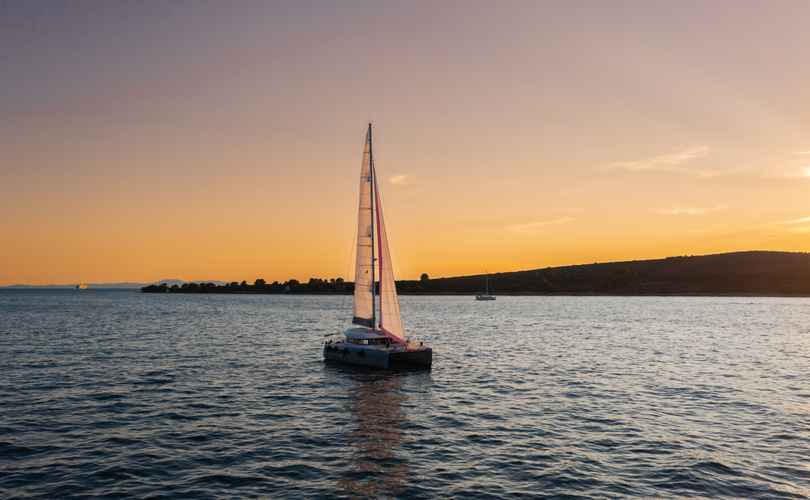 Photo Excess 15 (2023)