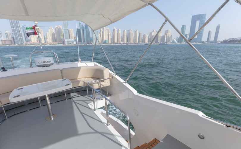 Photo Oryx 46 Fly (2008)