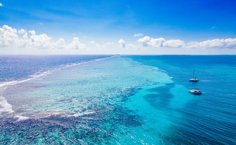 Photo Saona 47 (2017)