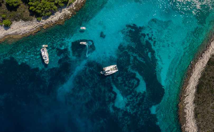 Photo Excess 15 (2023)