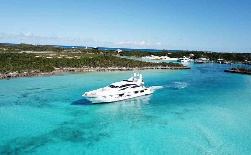 Photo Leopard 105 (2007)