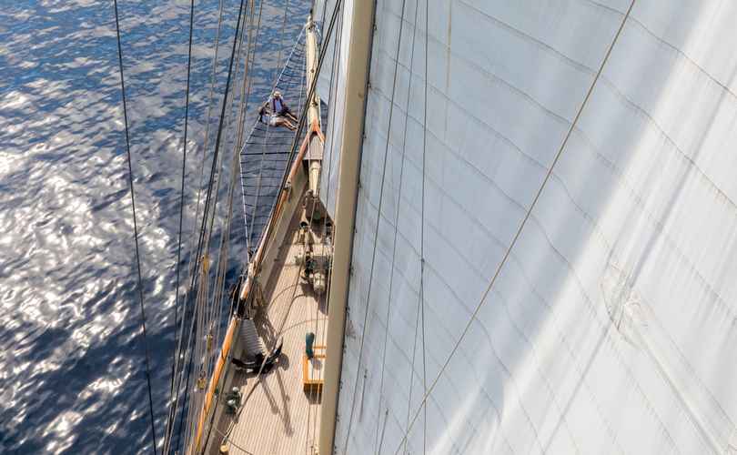 Photo Van der Graaf 211 (2010)