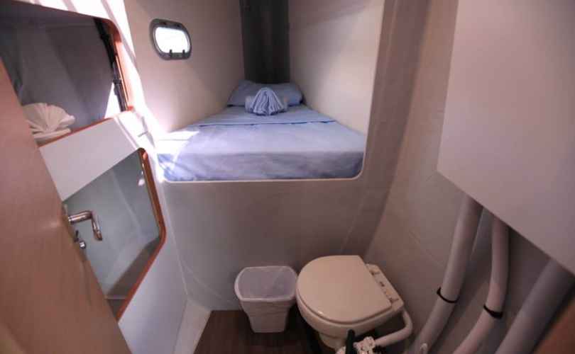 Photo Saona 47 (2019)