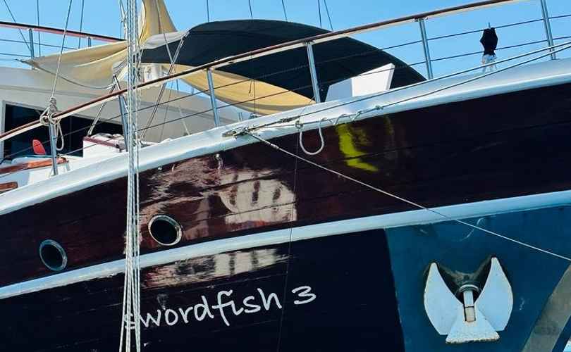 Sword Fish 3