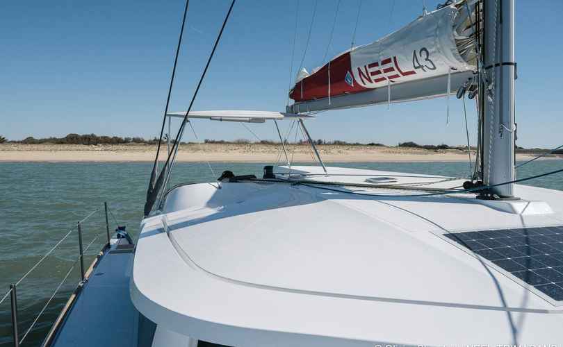 Neel 43