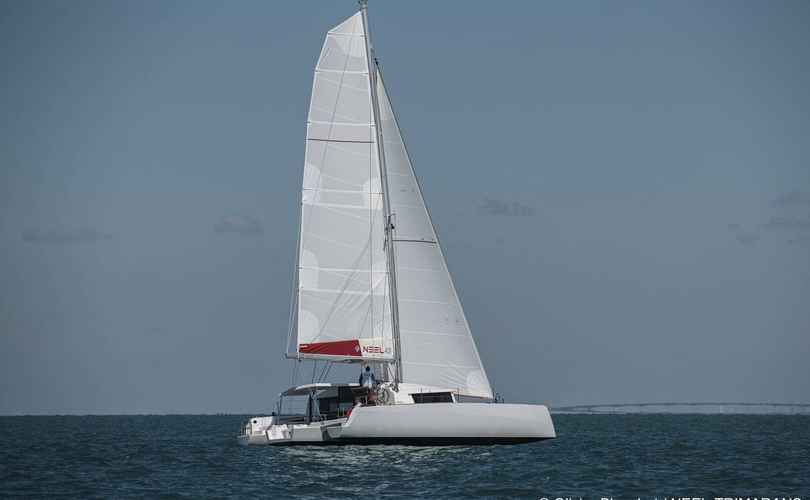 Neel 43