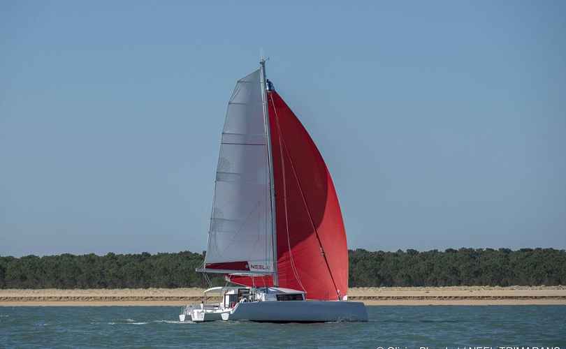 Neel 43