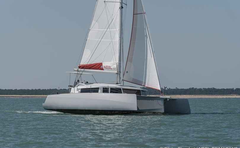 Neel 43
