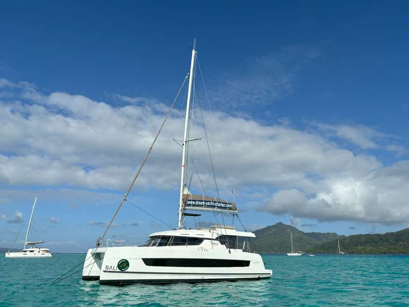 Bali Catspace Voile