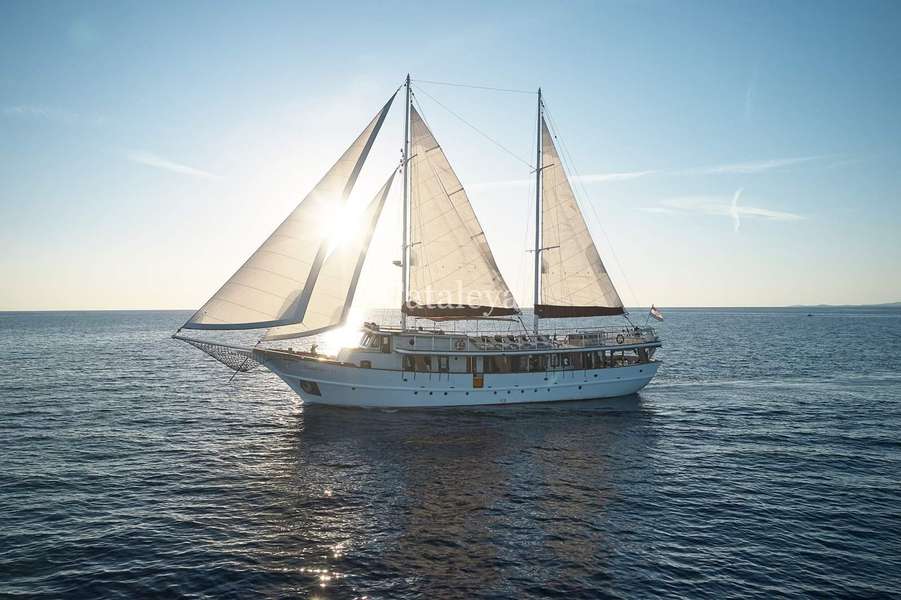 Rent Cataleya (Ex Vjeko) (2009)