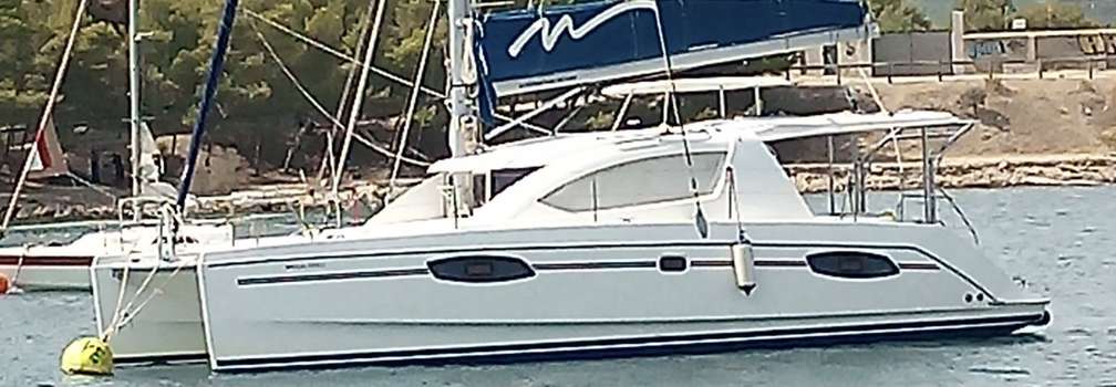 Leopard 39