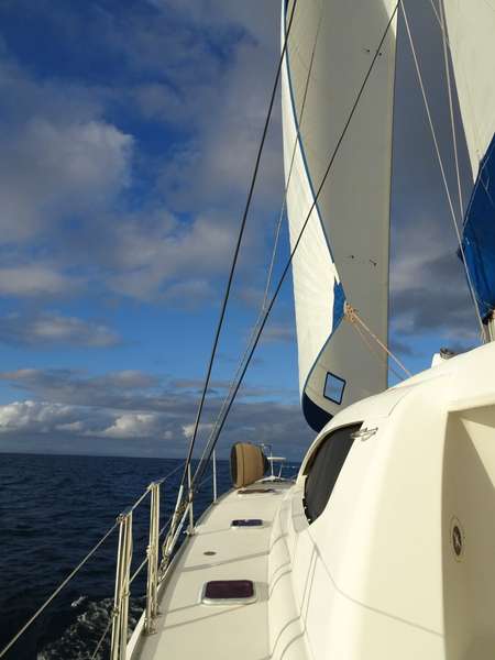 Leopard 46
