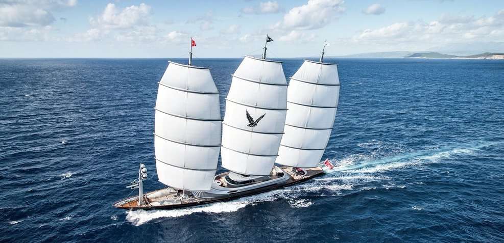 Perini 288