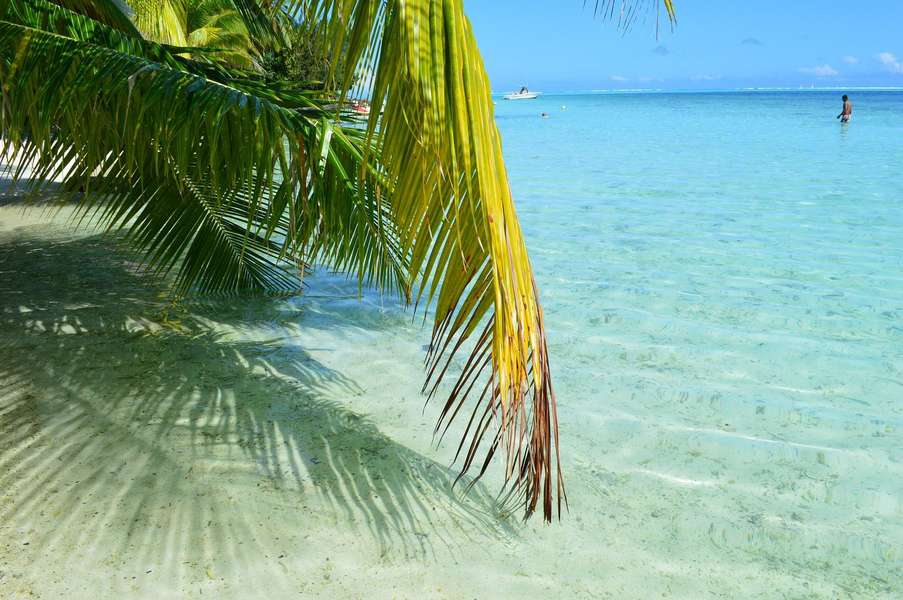 Photo Polinezja Francuska | Lucia 40 | Rejs katamaranem z Huahine na Bora Bora (w jedną stronę)