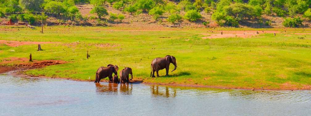 Photo L'Afrique Australe en croisière-safari