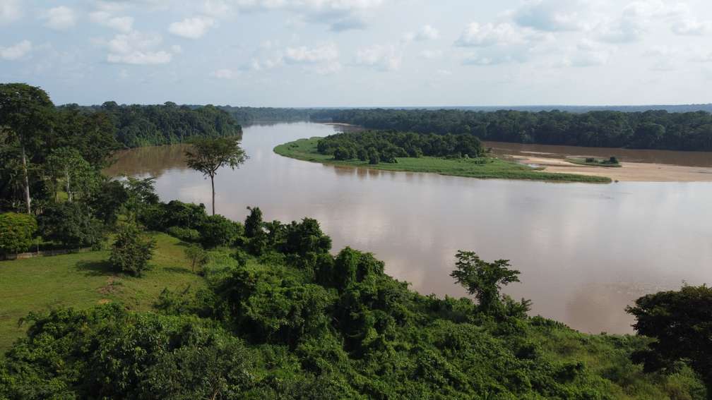Photo Croisière naturaliste sur le fleuve Congo