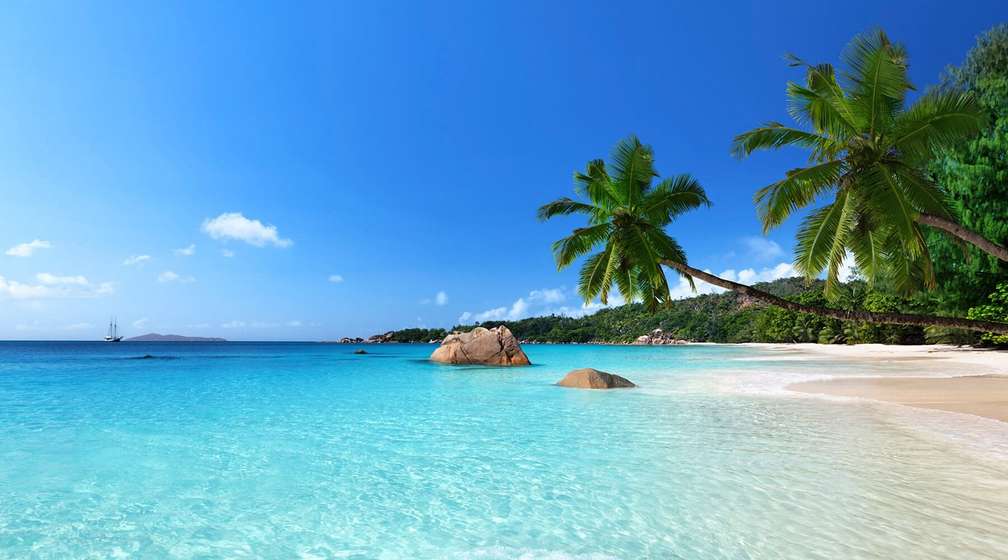 Photo Die Schönheit der Seychellen auf dem Katamaran erleben