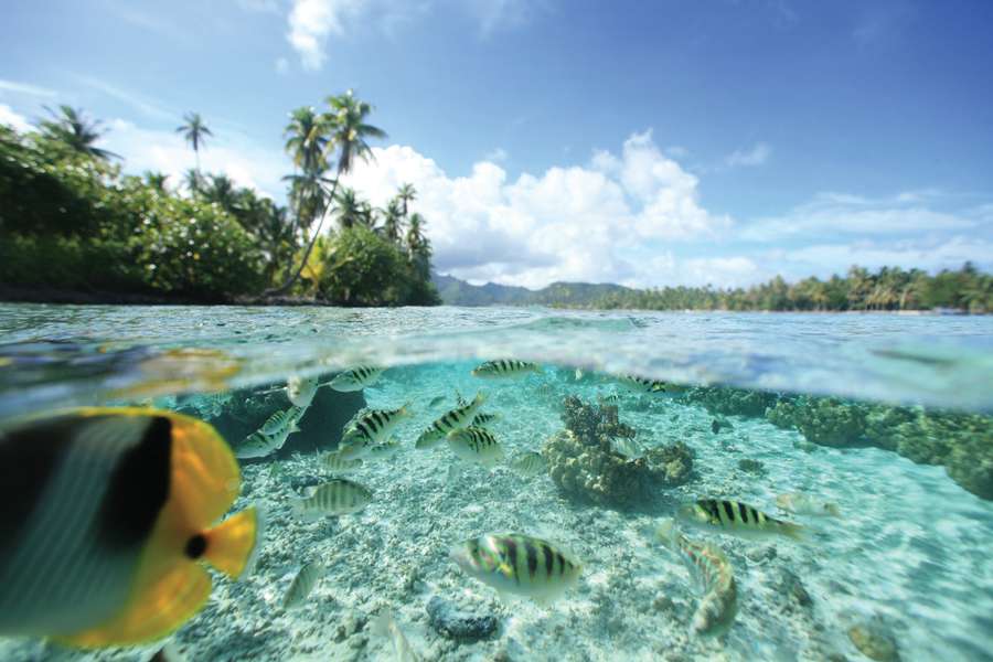 Land & Meer - Kombi in Polynesien