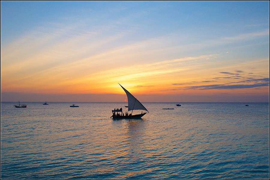 Croisière à Zanzibar & Safari en Tanzanie