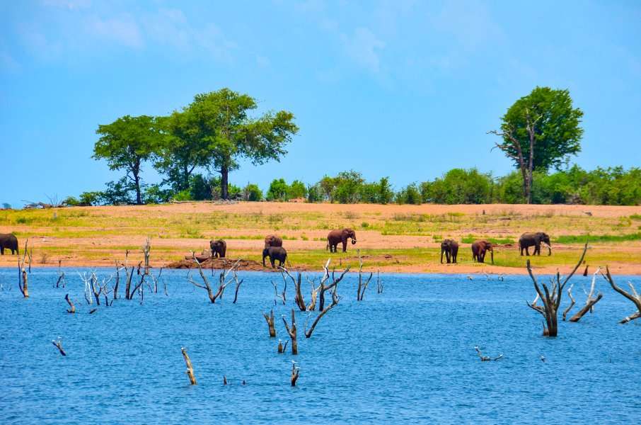 Photo L'Afrique Australe en croisière-safari