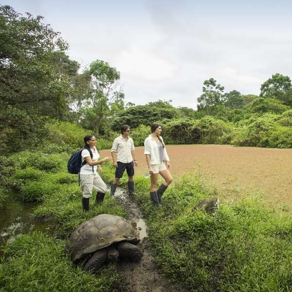 Tour des îles Galapagos