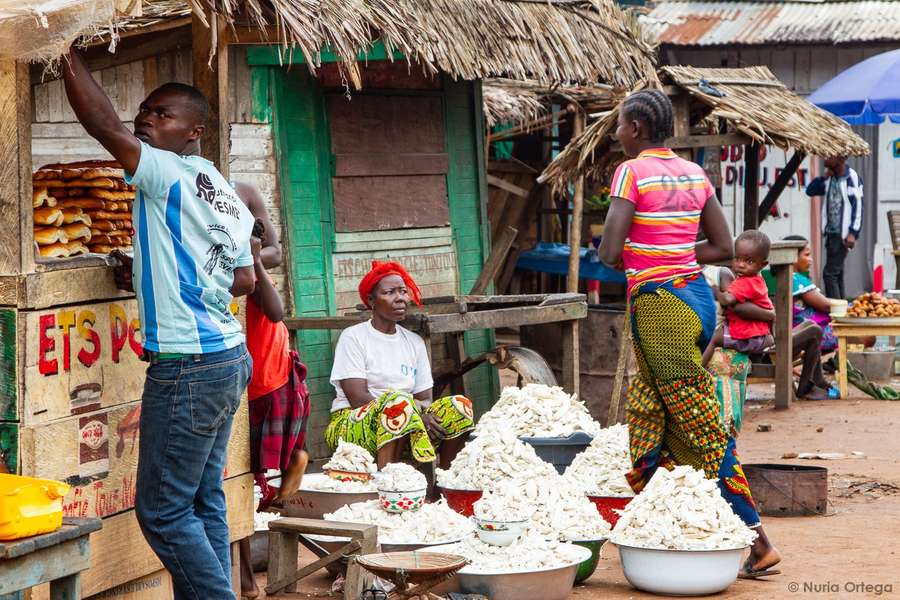 Photo Croisière naturaliste sur le fleuve Congo