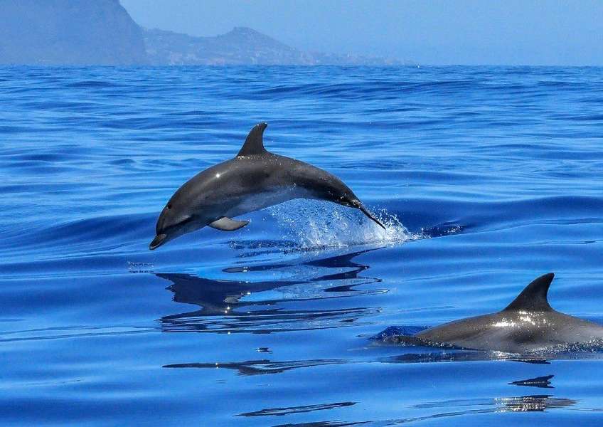 Photo Stage de voile aux Canaries
