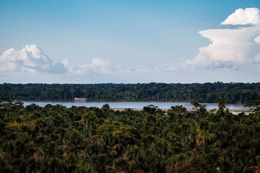 Photo Der Amazonas an Bord der Manatee