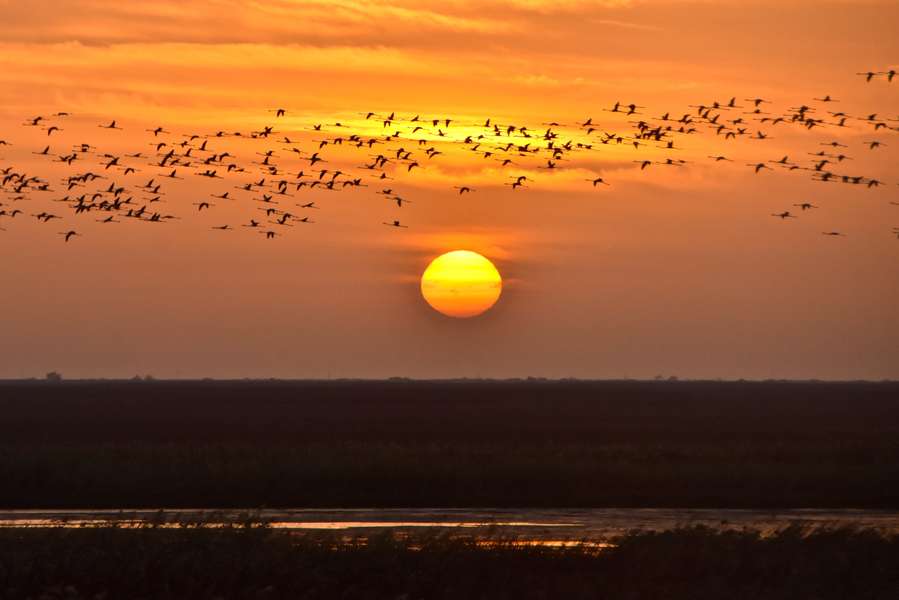 Photo Kreuzfahrt auf dem Fluss Senegal