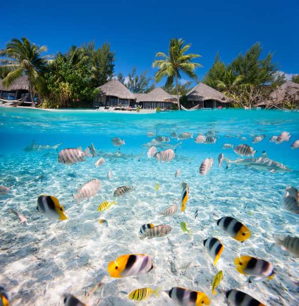 Photo Tahiti & ses îles en yacht