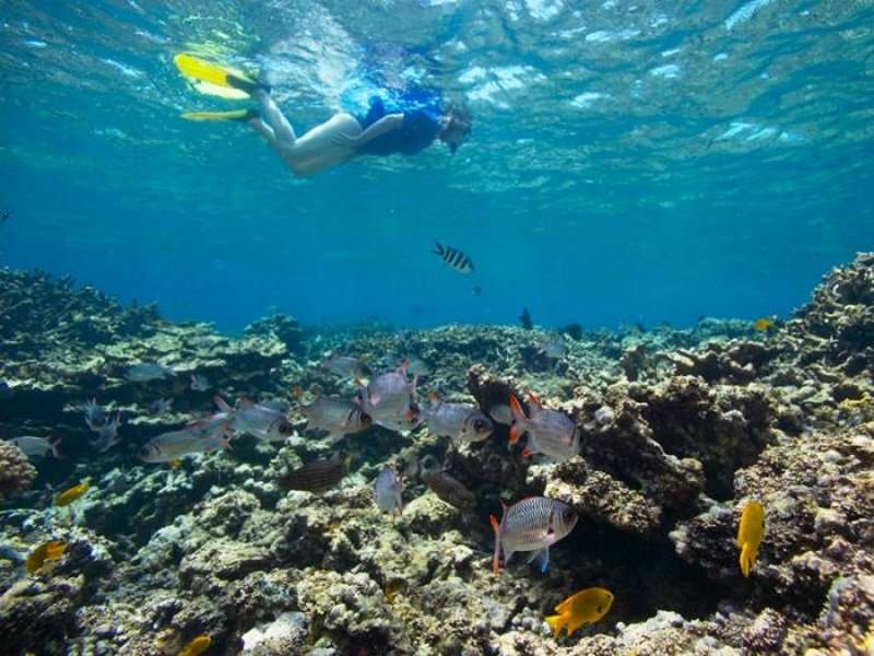Photo Mahé, Praslin und La Digue vom Meer aus