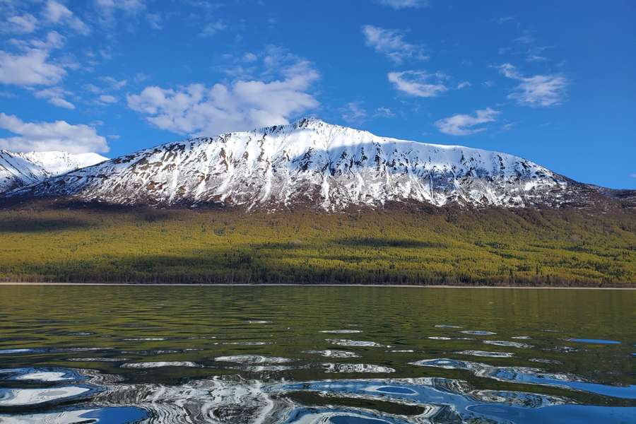 Photo Alaska an Bord des Segelschiffs Odyssey entdecken
