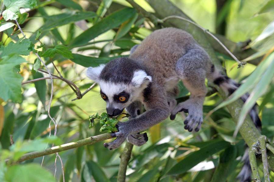 Photo Croisière au nord de Madagascar