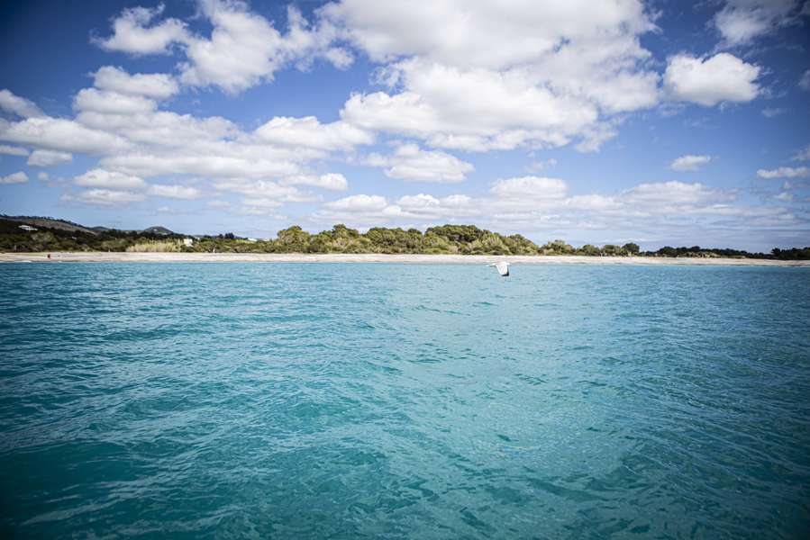 Photo Descubre Ibiza en un crucero en catamarán