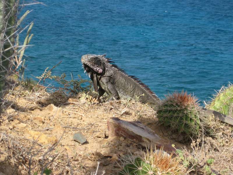 Photo Ein Kabinencharter auf Tortola