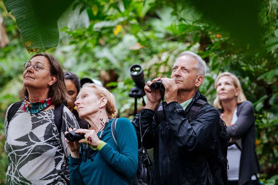 Photo Der Amazonas an Bord der Manatee
