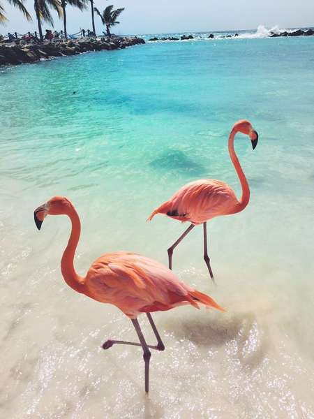 Photo Les Îles Exumas en croisière à la cabine
