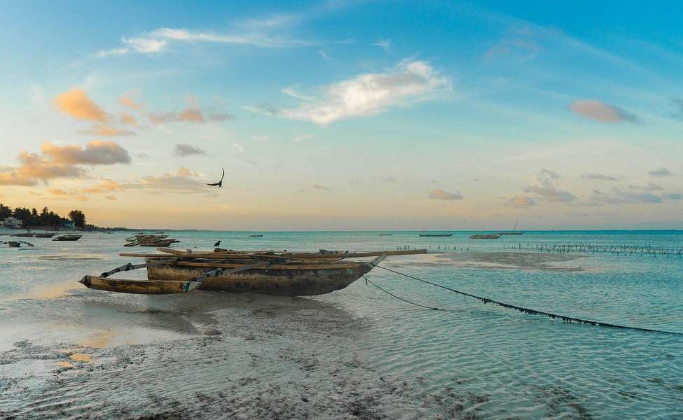 Photo Croisière à Zanzibar & Safari en Tanzanie