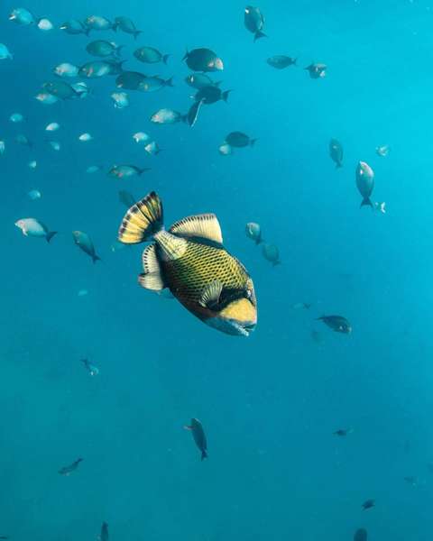 Photo Katamaran-Kreuzfahrt in Madagaskar