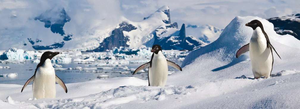 Photo Polar-Kreuzfahrt in der Antarktis