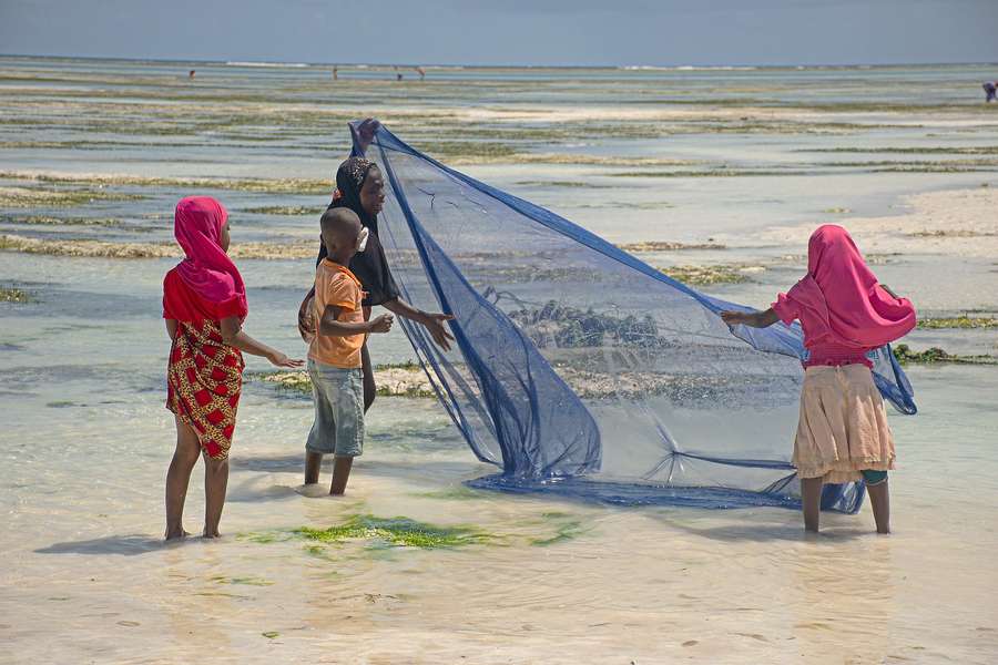 Photo Croisière à Zanzibar & Safari en Tanzanie