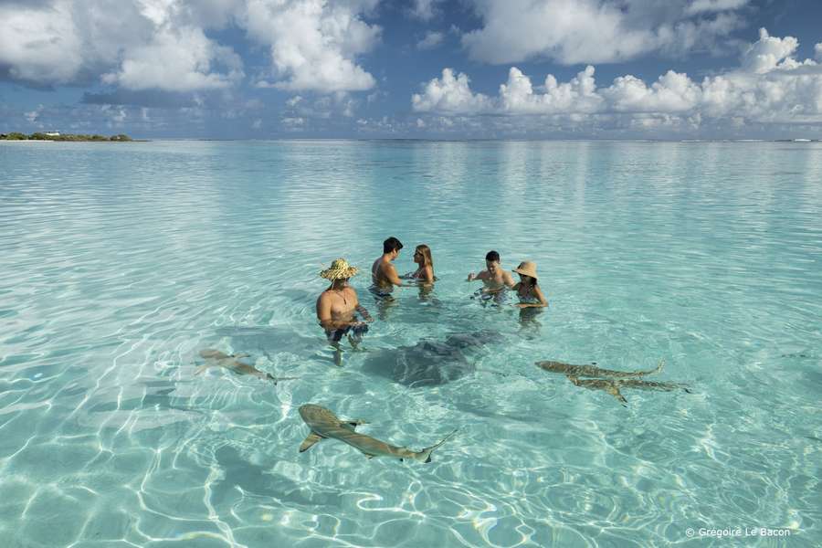Photo Croisière et séjour dans l'archipel de la Société & les Tuamotu