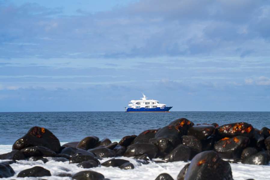 Photo Explora la naturaleza salvaje de las Galápagos en catamarán a motor