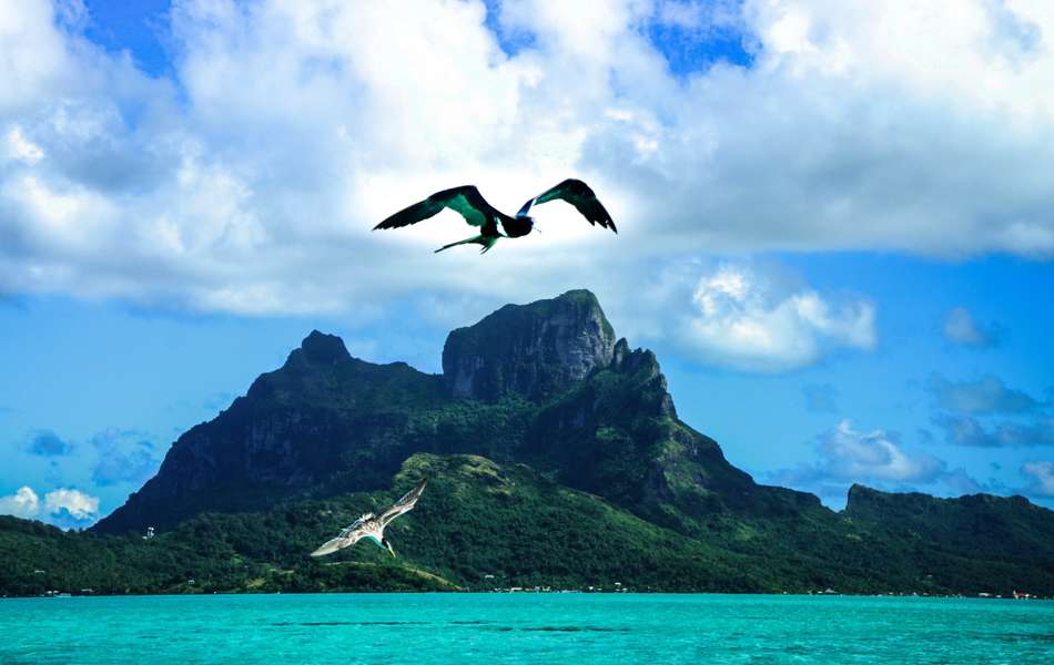 Photo Combiné Terre & Mer en Polynésie